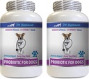 개 Gut 복원 - 개를위한 PROBIOTICS - 건강한 구트 - 가스 Diarrhea 및 나쁜 숨 중지 - 소화 부스트 - 개 probiotics 효소 - 2 병 (120 치료)