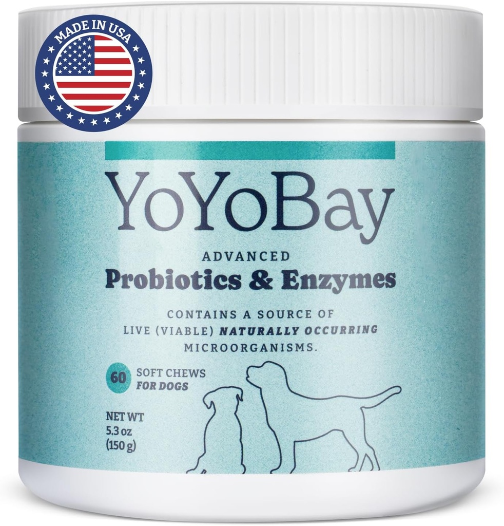 개를위한 Probiotics, Gut 건강 및 소화 건강, 효모 균형, 면역 지원, 개 Probiotics 및 소화 효소, 이상 1 억 CFUs, 60 소프트 체스