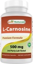 제일 자연적인 L Carnosine 500 mg 100 Vcaps (100의 조사 1)의 포장)