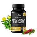 Rhodiola Rosea Supplement 높은 효능 추출물 500mg - 3% Rosavins 1% Ashwagandha Shisandra 열정 꽃 허브 분말 캡슐과 Salidrosides - 스트레스를 완화하는 자연 방법 - 에너지를위한 알약