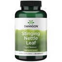 Swanson Stinging Nettle Leaf (Urtica Dioica) - Urinary Tract & Respiratory Health Support를 홍보하는 초본 보충 - 건강한 유체 균형을 지원 할 수있다 - (120 캡슐)