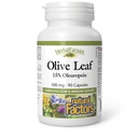 Natural Factors의 HerbalFactors, 올리브 리프 500 mg, 천연 웰니스 포뮬러, 90 캡슐