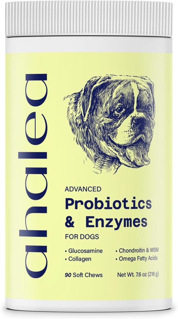 소화 건강을 위한 개 개 개 Probiotics, 지원 Gut 건강, Diarrhea, 소화 건강 & 계절 알레르기, 90 개 2 억 CFUs