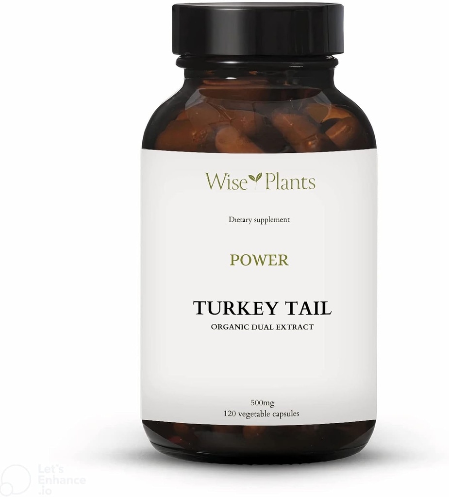 터키 꼬리 버섯 보충교재. 이중 추출물, 순수한 과일 몸, 30% 다당류, 500 mg, 120 vegecaps (60 일 공급). 건강한 면역 기능을 지원할 수 있습니다