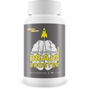 Best Nootropic Brain Booster - Memory, Focus, Concentration, Mental Clarity, & Energy - 향상된 두뇌 기능, Memory Recall 및 축소 정신 피로 - 남성 및 여성 - Ginkgo