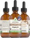 RawGuru Organic Mushroom Complex Tincture - Trace Minerals가있는 유기 버섯 추출물 - Nano-Processed Cognitive & Immune Support Supplement - 60 ml, 1 팩