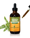 Urinary 시스템 지원을위한 허브 Pharm Chanca Piedra 액체 추출물 - 4 Ounce