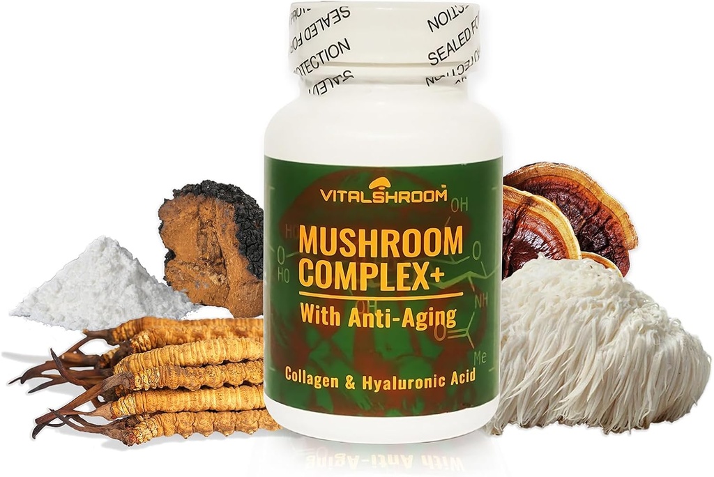 노화 방지 Mushroom Complex. 자연적인 버섯 근거한 노화 방지는 Chaga, 사자 Mane, Cordyceps, Reishi, 교원질, Hyaluronic 산, 비타민 B1, B2, B6, C, D.를 가진 보충합니다.