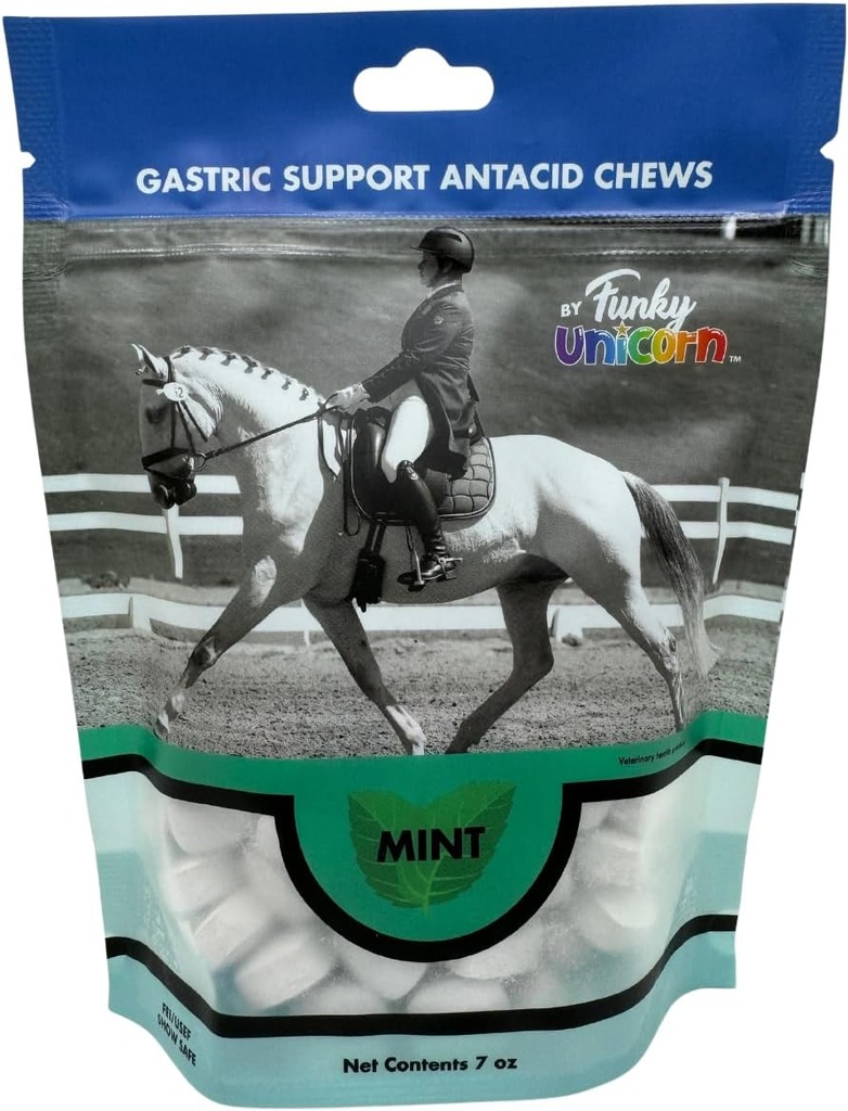 Funky Unicorn Gastic Chews - MINT 맛