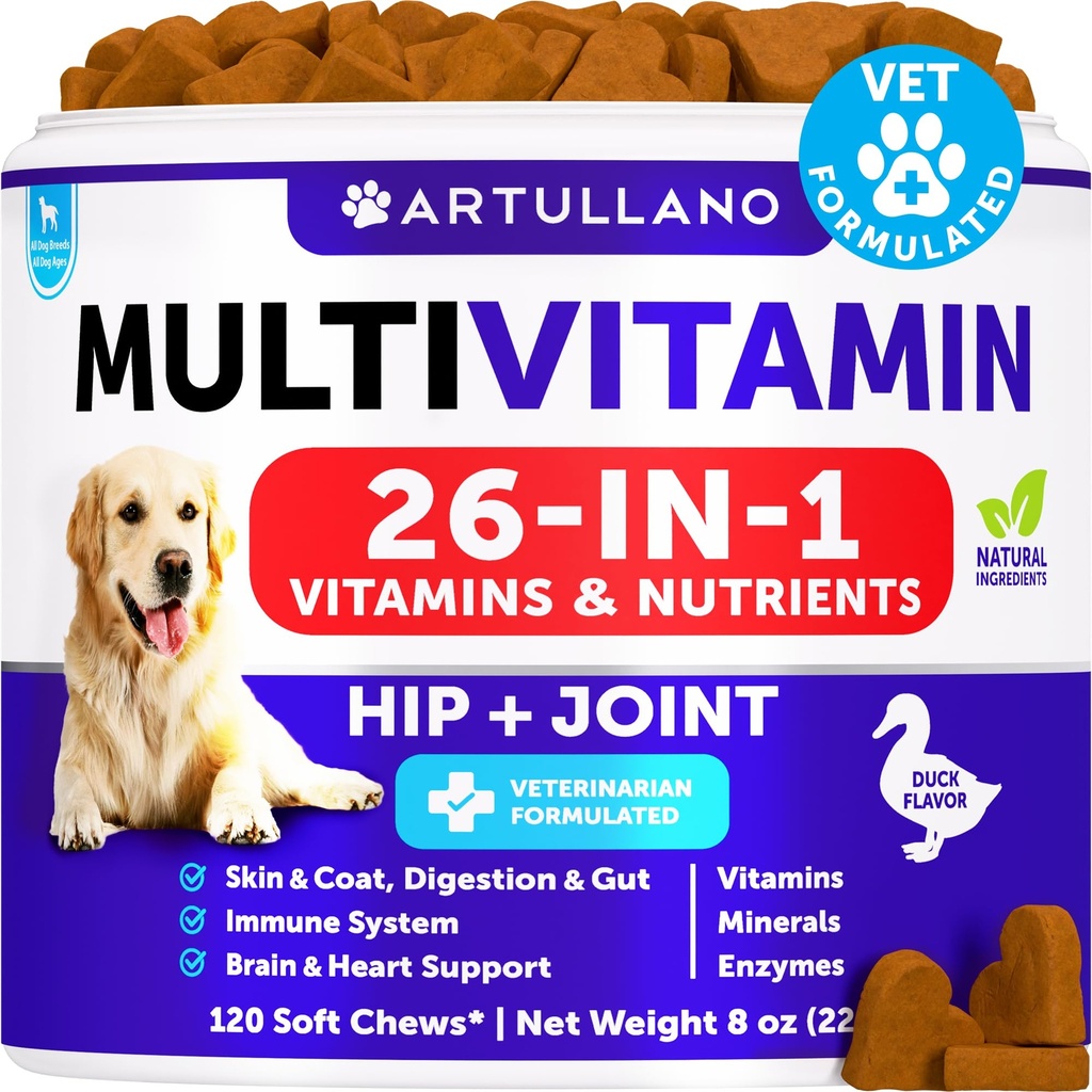 개 Multivitamin는 글루코사민 26에서 1 개 - 개 비타민 및 보충제 - 개를위한 수석 & 강아지 Multivitamin - 애완 동물 합동 지원 건강 - 면역, 기동성, Gut Skin - 120 Chews