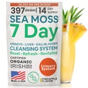 Atlantic Naturals Sea Moss 7 Day Detox Liver, Gallbladder & Kidney Cleanse - Dandelion Root, Milk Thistle, Burdock Root, Red Clover, Chanca Piedra와 함께 지원 - 파인애플 맛 음료 혼합 (14 oz)