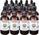 Valerian 알콜 자유로운 액체 추출물, 유기 Valerian (Valeriana Officinalis)는 뿌리 Glycerite 자연적인 초본 보충교재, 하와이 Pharm, 미국 15x4 fl.oz를 말렸습니다