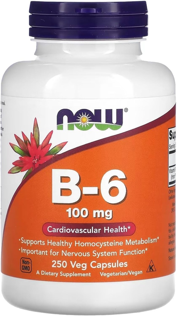 지금 음식 비타민 B-6 250 캡슐/100mg