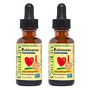 아이들을위한 CHILDLIFE ESSENTIALS Echinacea - 아이 Echinacea Drops, 액체 Tincture, 아기, 유아, 어린이를위한 알코올 무료 보충 - 자연 오렌지, 1 Fl Oz (패치 2)
