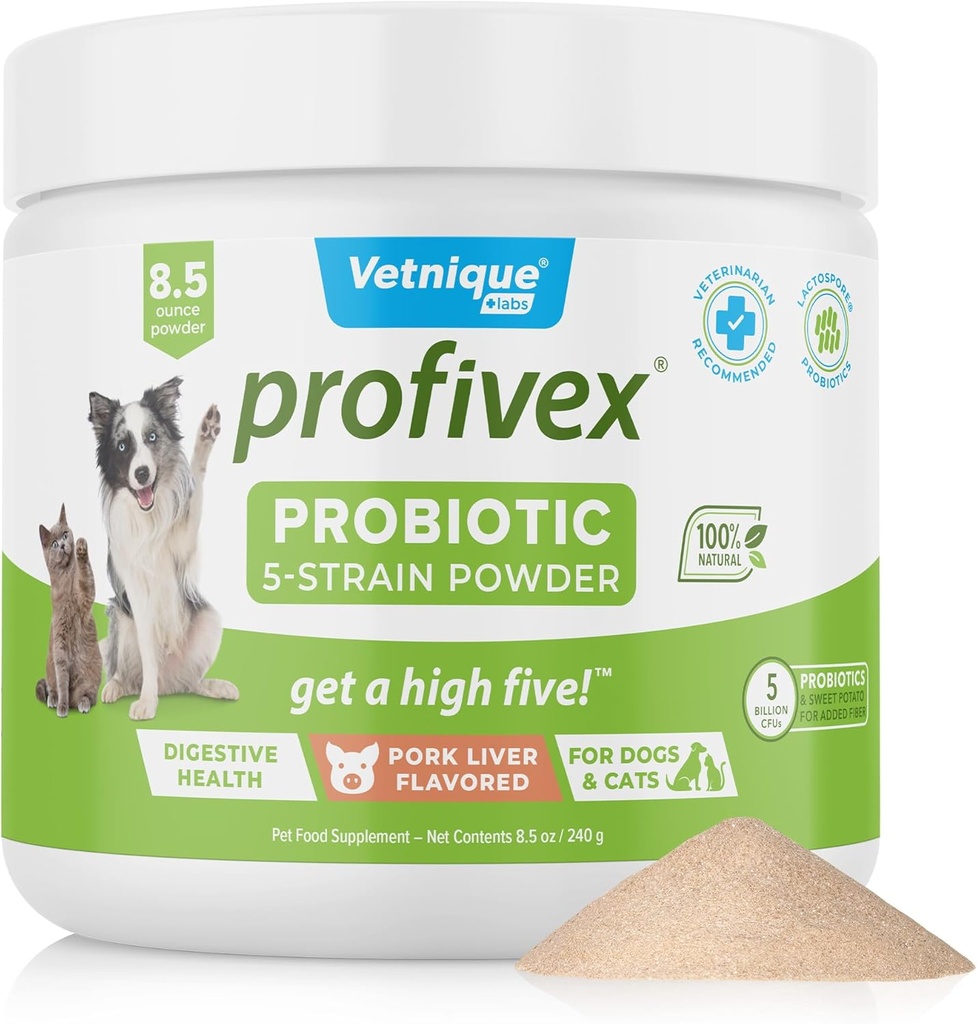 개를위한 Vetnique Labs Profivex Probiotics All Natural Dog Chews & Powder for Digestive Health Probiotics for Dogs 5 Strains of Probiotics & Prebiotics (Powder, 8.5oz)