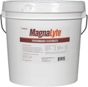 MagnaLyte 느슨한 소금과 이 글 Equine의 말에 Electrolytes | 미네랄 바다 소금, Trace 미네랄, 일렉트로트 | 20 파운드 버킷