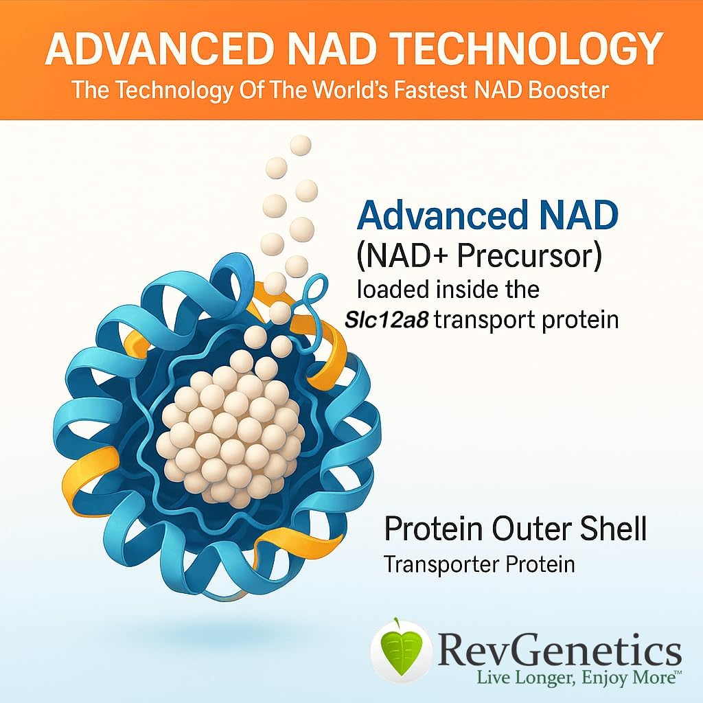 REVGENETICS 고급 NAD + 보충교재, 60 캡슐 - 건강한 시효 & Longevity를 위한 규정식 보충교재