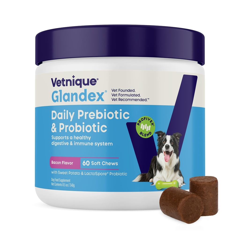 섬유와 소화 효소, Probiotic Chews 또는 분말 (60ct Chews, Bacon Chews)를 가진 개를 위한 Vetnique Glandex 매일 Probiotics