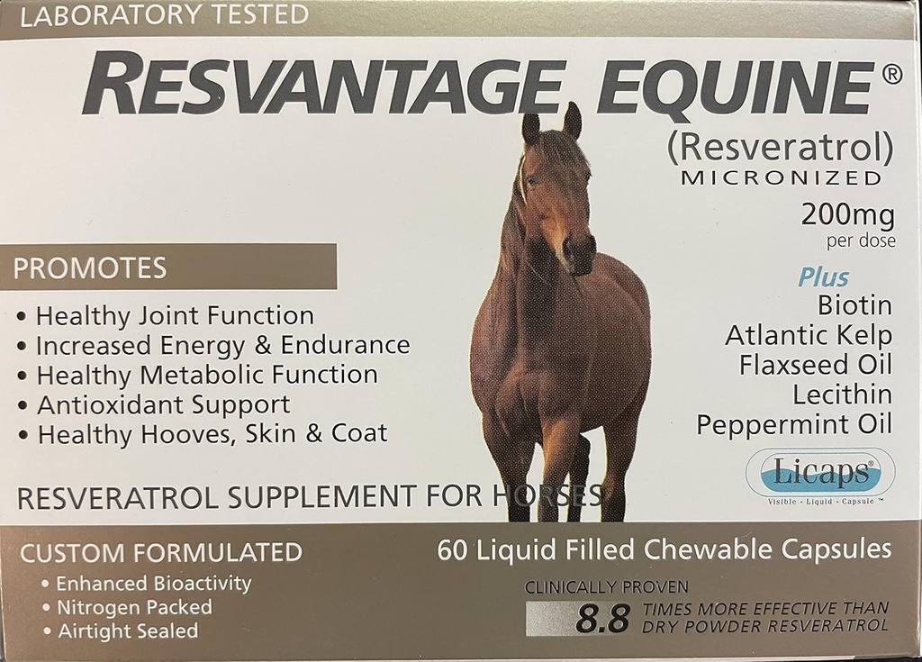 말을 위한 Equine 보충교재 60 chewable resveratrol 액체 채워진 캡슐