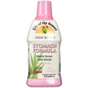 사막 Stomach 공식의 Lily, Slippery Elm, Chamomile, Peppermint 및 Gut Health, Acid Reflux, Heartburn Relief, 32 Oz의 유기 알로에 Vera 주스