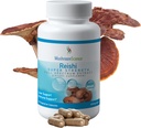 MushroomScience Reishi 버섯 캡슐, 최고 힘 가득 차있는 스펙트럼 추출물, 성인을 위한 자연적인 버섯 보충교재, 온수에 의하여 추출되는 버섯, 건강 지원, 채식주의자, 400MG, 90 CT