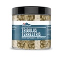 지진 성분 Tribulus Terrestris 200 캡슐, 순수한 & Undiluted, 첨가물 없음