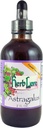 허브 로 복사 Astragalus Tincture – 액체 Astragalus 루트 추출 드롭 - 면역 시스템 지원 – 4 Fl Oz