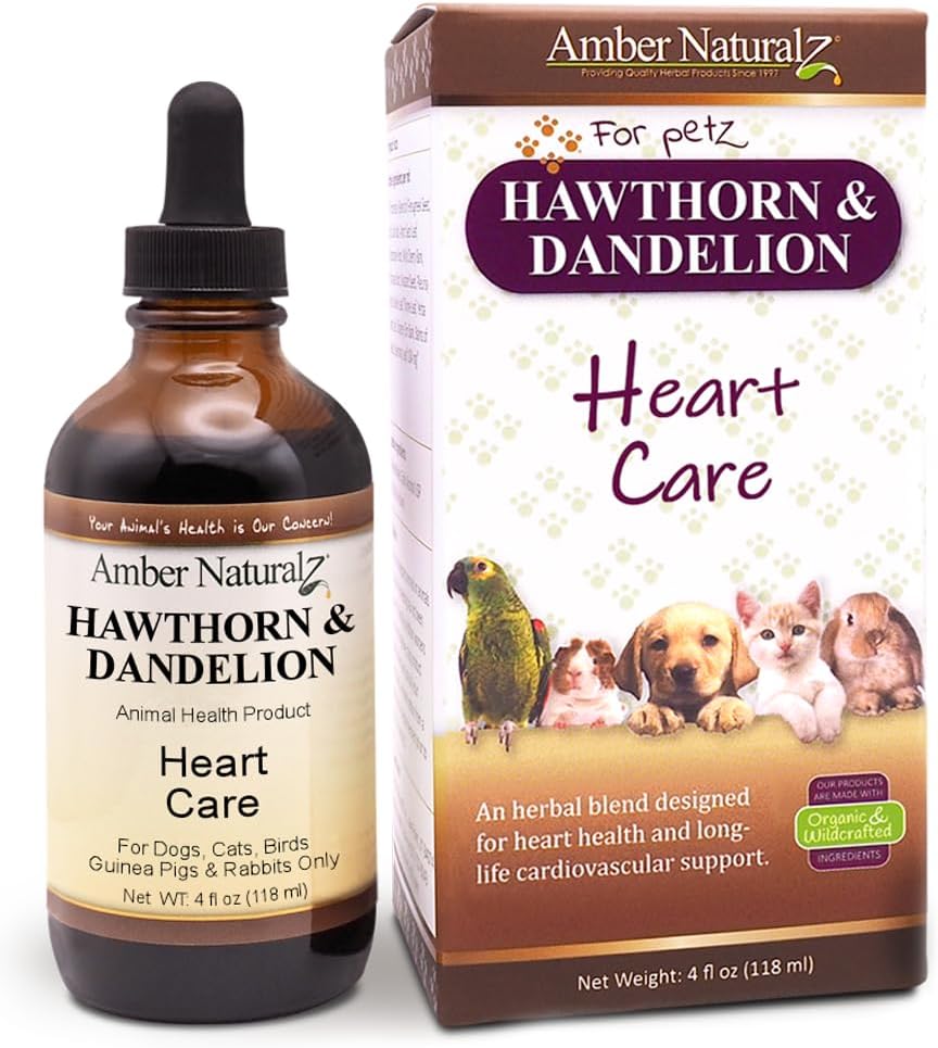 Amber NaturalZ Hawthorn & Dandelion Herbal Supplement for Dogs, Cats, Birds, Rabbits 및 Piggies | 심장 건강, 순환 및 유체 균형 지원 | 천연 심혈관 치료