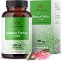 HERBAMA Mimosa Pudica 씨앗 캡슐 - 소화 Cleanse & Detox 용 1000mg Mimosa Pudica 추출물 분말 - Vegan, Non-GMO 소화 지원 보충교재, 100 모자