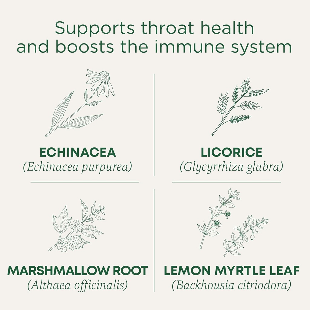 전통 약품 Lozenges, 유기 갑옷 코트 레몬 제이너 Echinacea, Sore Throat 지원, 16 개 (팩 2)