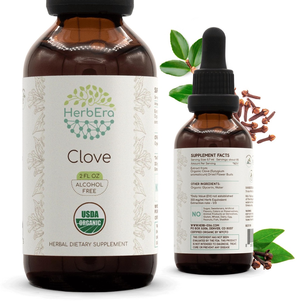 HerbEra Clove B60 USDA 유기 Tincture | 알코올 무료 추출, 고순도 초본 드롭, 면역 시스템 건강 | 인증 유기농 장갑 (Syzygium Aromaticum) 건조 꽃 버드 (2 fl oz)