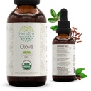 HerbEra Clove B60 USDA 유기 Tincture | 알코올 무료 추출, 고순도 초본 드롭, 면역 시스템 건강 | 인증 유기농 장갑 (Syzygium Aromaticum) 건조 꽃 버드 (2 fl oz)