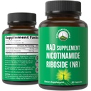 Nicotinamide Riboside NR 보충. NMN 대안 NAD 보충 + 우리 나이로 NAD + 레벨에 대한 Niacinamide. 세 번째 파티 테스트, 비 GMO, 글루텐 무료, 여자와 남자를위한 Vegan NR 비타민 보충제