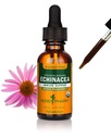 허브 Pharm 유기 Echinacea 뿌리 추출물, 알콜 자유로운: All Seasons, 빠른 행동 Echinacea 식물 보충교재, 비 GMO, Vegan & 글루텐 자유로운, 1개 Oz를 위한 면역 체계 지원