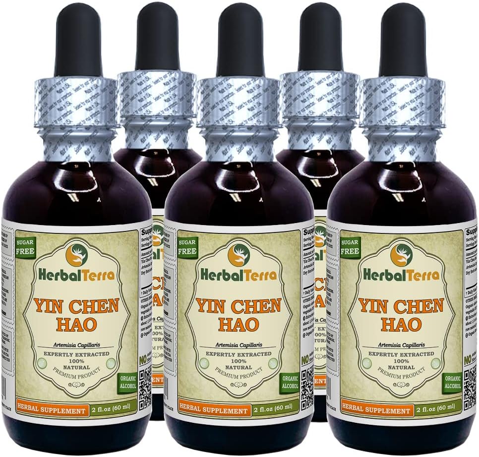 Yin Chen Hao (Artemisia Capillaris) Tincture, 유기 건조 허브 액체 추출 (브랜드 이름: HerbalTerra, Proudly Made in USA) 5x2 fl.oz (5x60 ml)