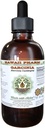 순수한 Garcinia 알콜 자유로운 액체 추출물, 유기 Garcinia (Garcinia cambogia)에 의하여 말린 과일 Glycerite 하와이 Pharm 자연적인 초본 보충교재 2 fl.oz