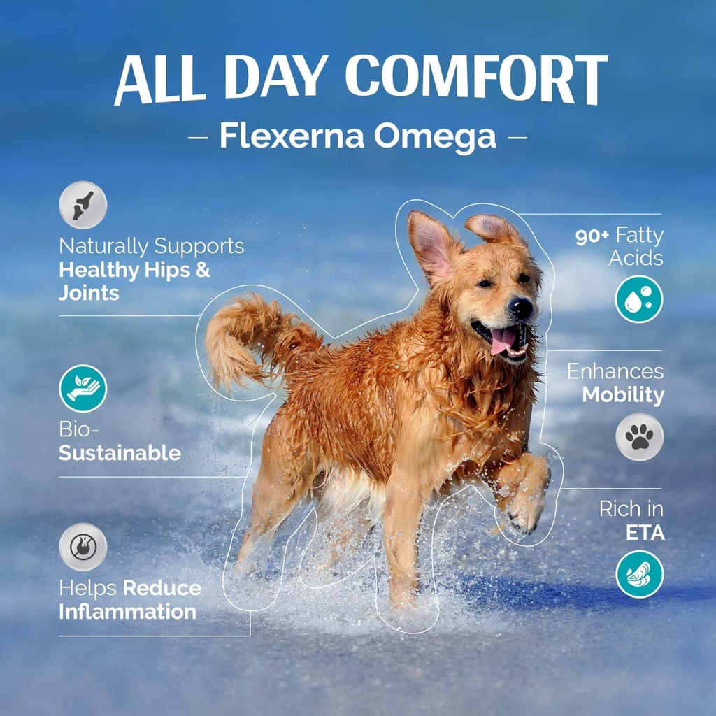 개를위한 합동 보충 - 녹색 담즙 추출물 - 생선 기름 - 오메가 3 지원 - Vet-Formulated Mobility & Comfort - 8 Oz 액체 펌프