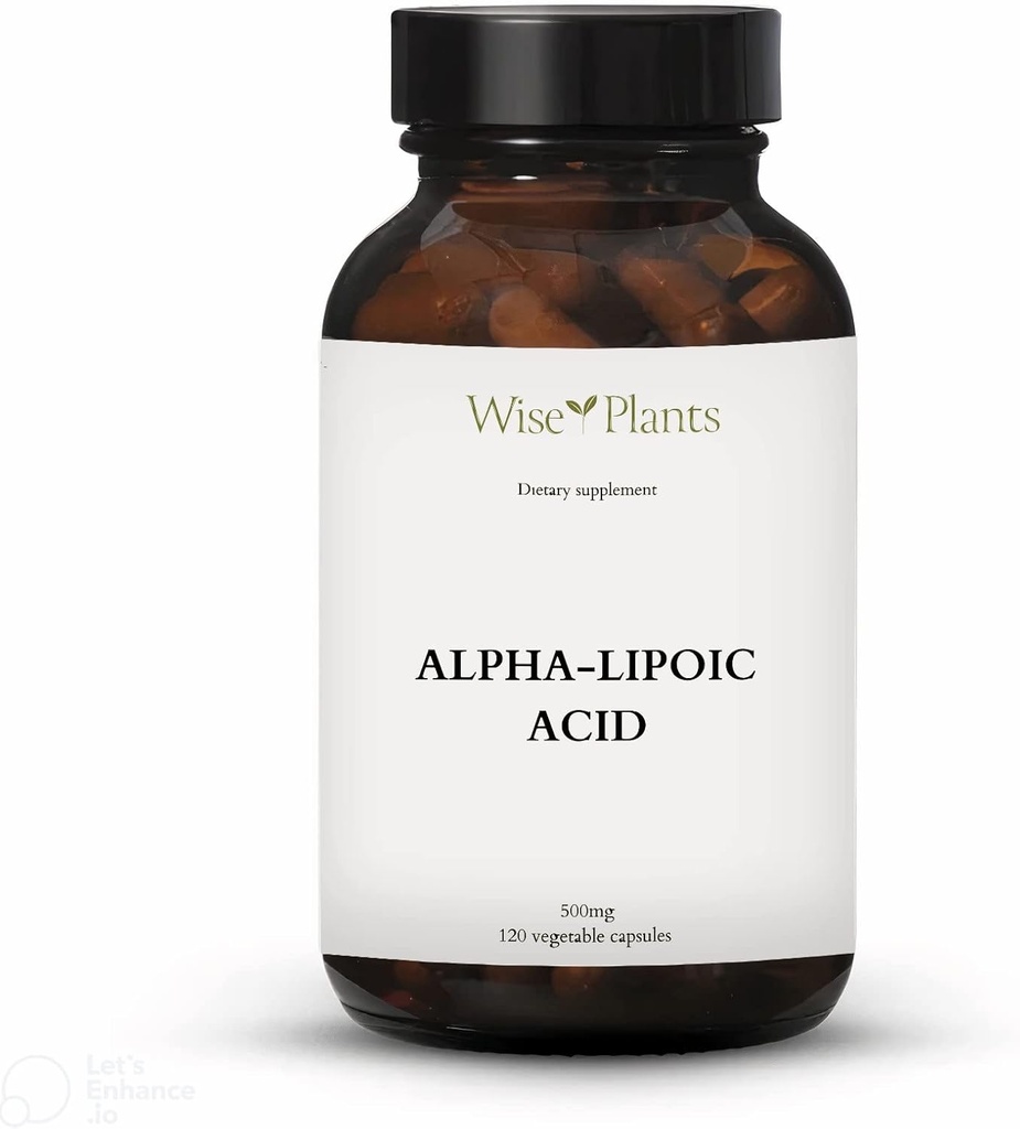 Alpha-Lipoic Acid - Non-GMO - 500mg, 120 서빙 (4 개월 공급), 에너지 레벨, Mitochondria 지원