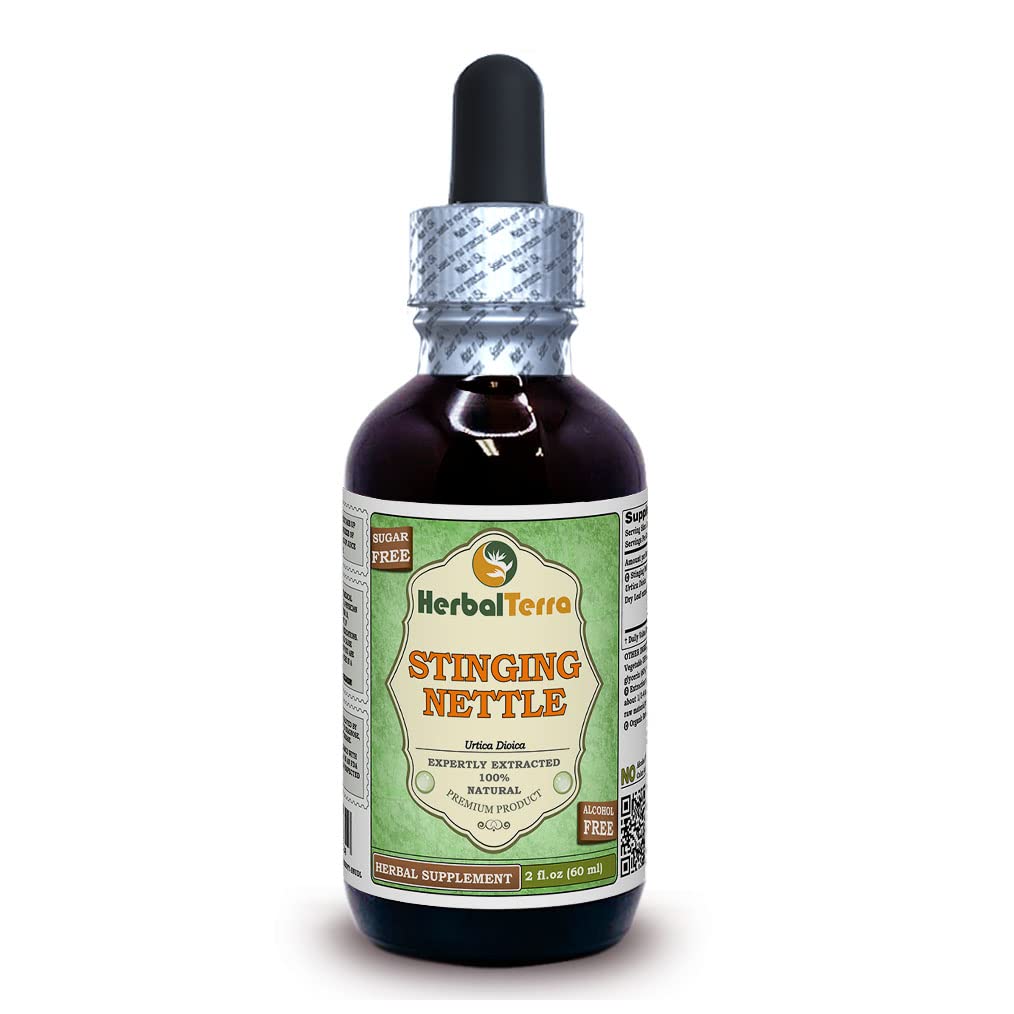 Herbal Terra LLC Stinging Nettle (Urtica Dioica) Glycerite, 유기 건조 정제 알코올 무료 액체 추출물 2 oz
