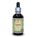 Herbal Terra LLC Stinging Nettle (Urtica Dioica) Glycerite, 유기 건조 정제 알코올 무료 액체 추출물 2 oz