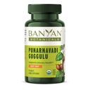 Banyan Botanicals 유기 Punarnavadi Guggulu 정제 – 유기 공동 보충 – Kidneys 및 Urinary System*의 건강한 기능을 지원 – 90 정제 – 비 GMO 지속 가능한 Sourced Vegan*