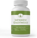 순수한 본래 성분 일본 Knotweed, (100의 캡슐) 항상 순수한, 첨가물 없음 또는 충전물, 실험실 Verified