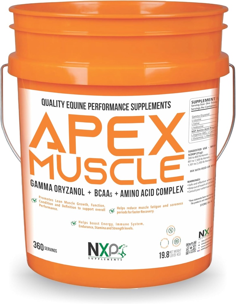 APEX 근육, 몸 & 힘 건축업자 - 에너지, 내구시간, 내구시간, 회복 지원 - 감마 Oryzanol BCAA 아미노산 Lysine Carnitine L 아르기닌 AKG 19.8 lb (360 서빙)