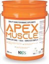 APEX 근육, 몸 & 힘 건축업자 - 에너지, 내구시간, 내구시간, 회복 지원 - 감마 Oryzanol BCAA 아미노산 Lysine Carnitine L 아르기닌 AKG 19.8 lb (360 서빙)