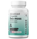 유기 아일랜드어 Sea Moss, Bladderwrack & Burdock 뿌리 보충 1405mg, 60 Veg 캡슐 - 면역 부스터, Gut 건강, 피부 Detox & 공동 지원 (60 개)