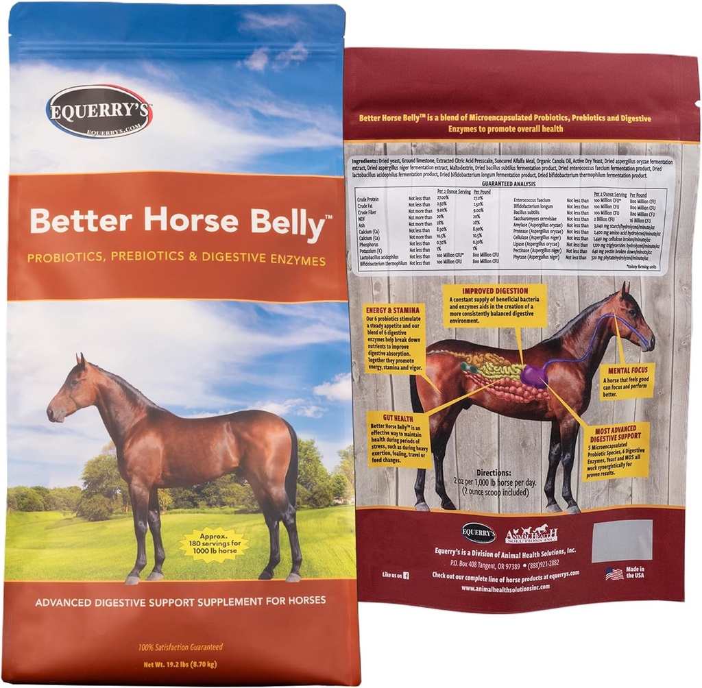 EQUERRY'S Better Horse Belly - Gut Support와의 보충 | Prebiotics와 Digestive Enzymes의 프로바이오틱스 | Colic, Digestive Upset - 19.2 LB