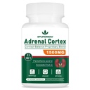 11-in-1 Adrenal 지원 보충교재, Pantothenic 산과 Ashwagandha를 가진 Cortisol 보충교재 - 건강한 Adrenal 기능, 에너지 및 Relaxation- 60의 캡슐을 지원합니다