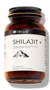 Blisque – 순수한 Himalayan 유기 Shilajit 수지 추출 캡슐 | 인증 및 자연 | 황금 급료 A | 포함 Fulvic 산과 추적 미네랄 | 90 캡슐