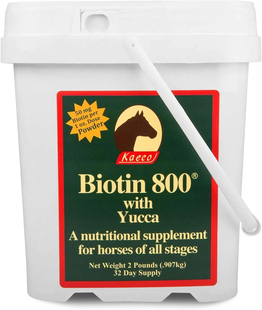 Biotin 800 분말