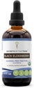 Tribe Black Elderberry 알코올 프리 트리니티의 비밀 (글리세 라이트) 680 mg USDA 유기 블랙 엘더 베리 (Sambucus Nigra) 말린 베리 (4 Fl Oz) 면역 지원 보충교재